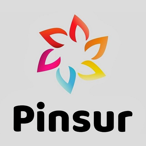 Pinturas y Aplicaciones del Sur