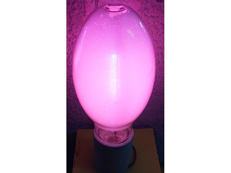 Foco Led de Color Guatemala