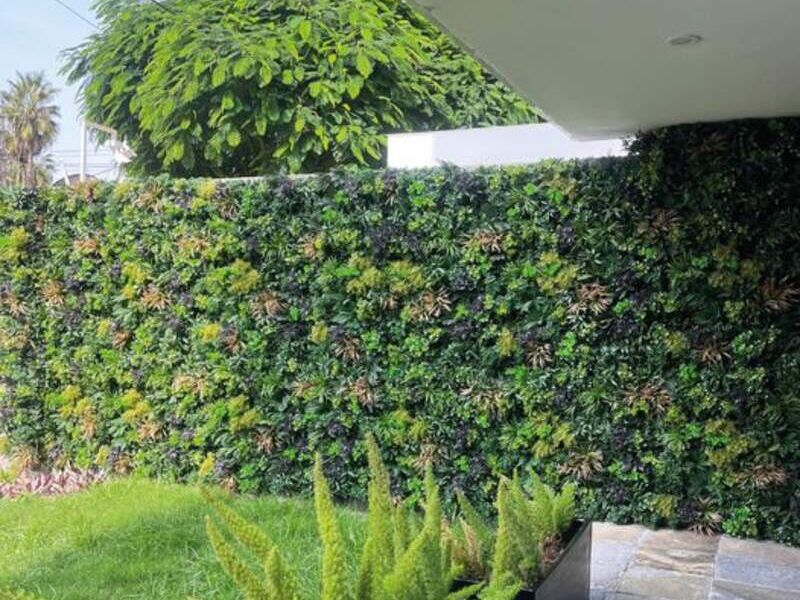Jardín vertical espeso 