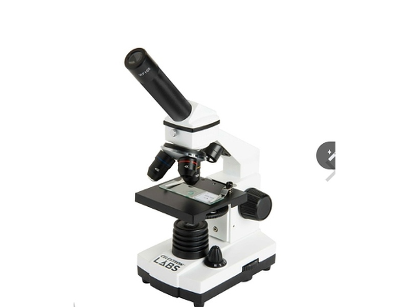 Microscopio biológico
