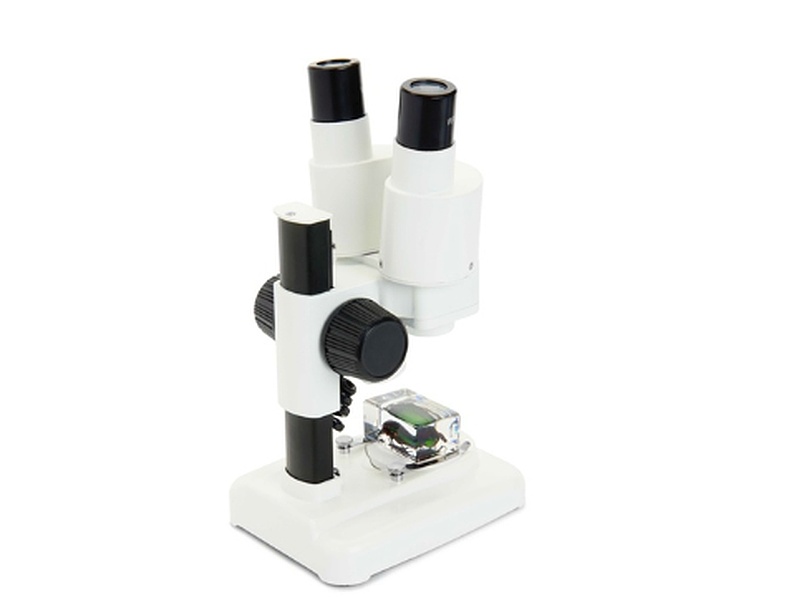 Microscopio Celestron