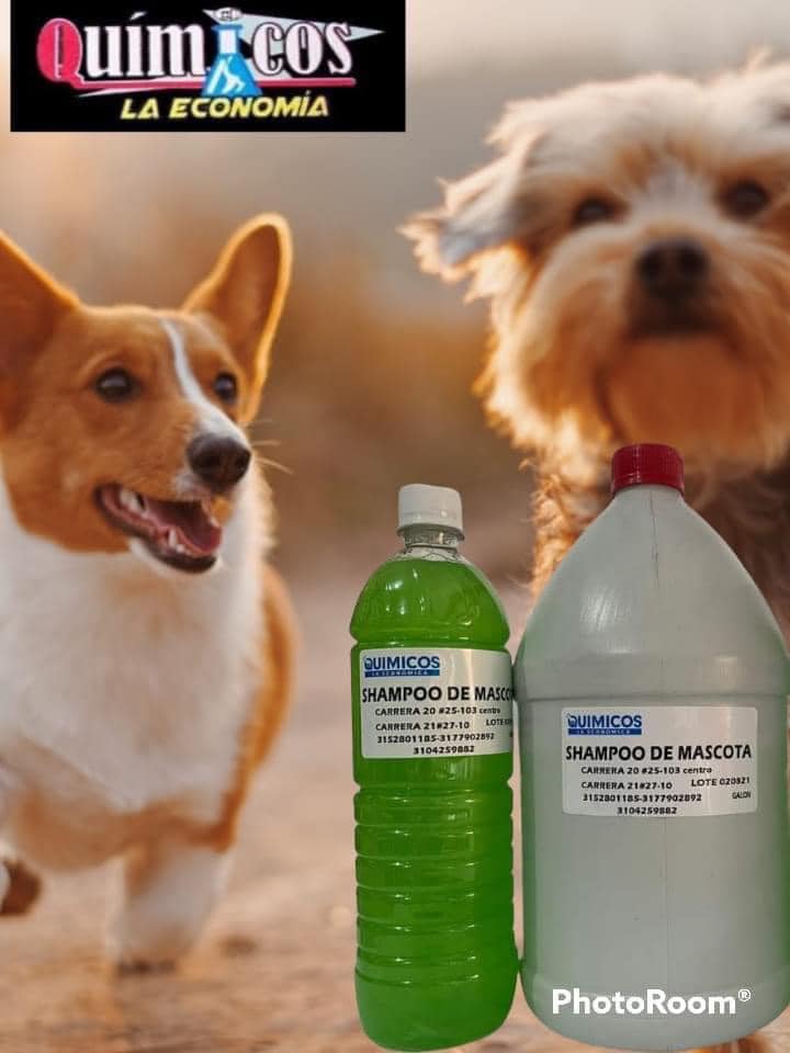 Shampoo mascotas