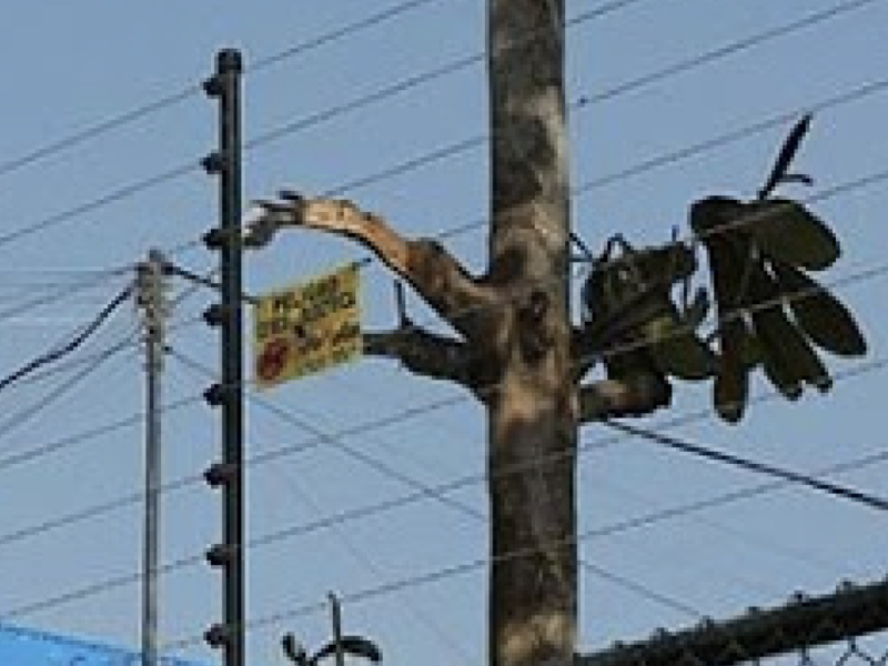 Cerca Eléctrica 