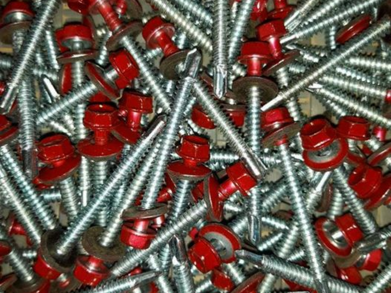 Tornillo cabeza roja Guatemala