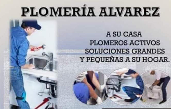SOLUCIONES GRANDES PLMERIA GUATEMALA