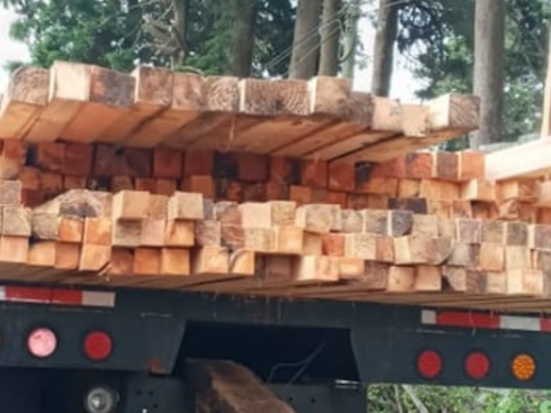 Palos de madera Fraijanes