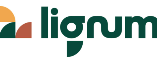 Lignum SA