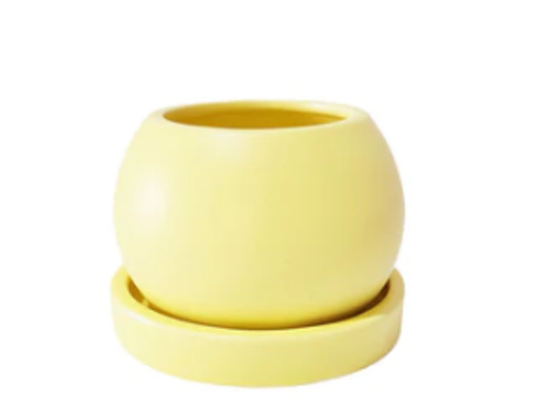Maceta en forma de taza