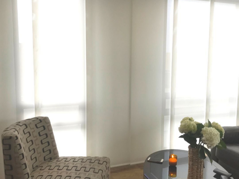 Cortinas Panel Japones