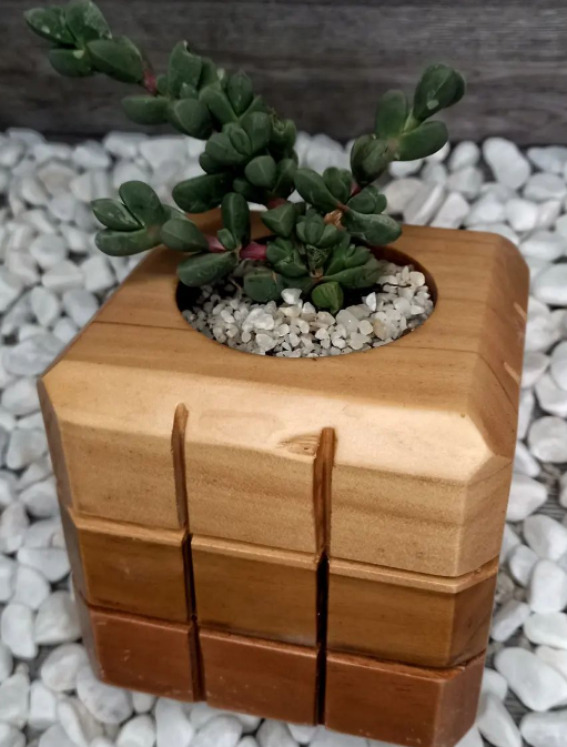 Macetero Moderno de Madera Guatemala