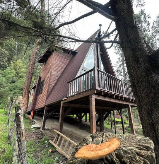 Construcción de Cabañas Ecológicas Guatemala