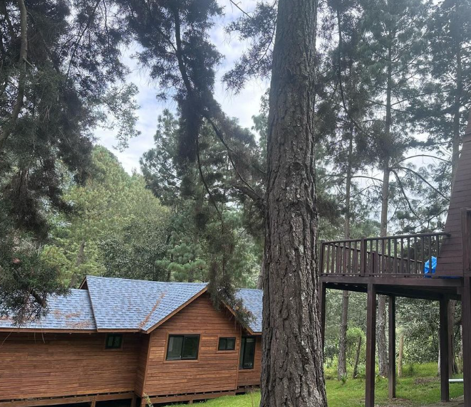 Diseño de Casas de Montaña Guatemala