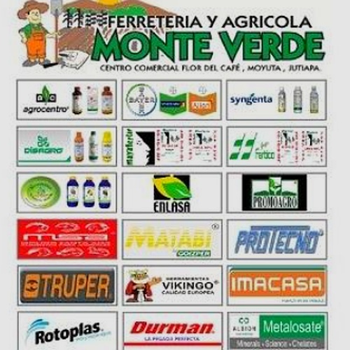 Monte Verde S.A 