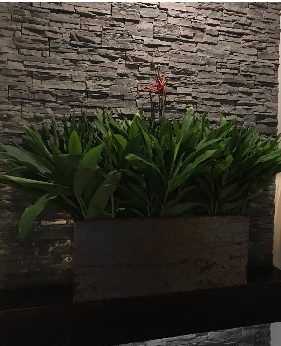 Pared decorativa con jardineras Guatemala