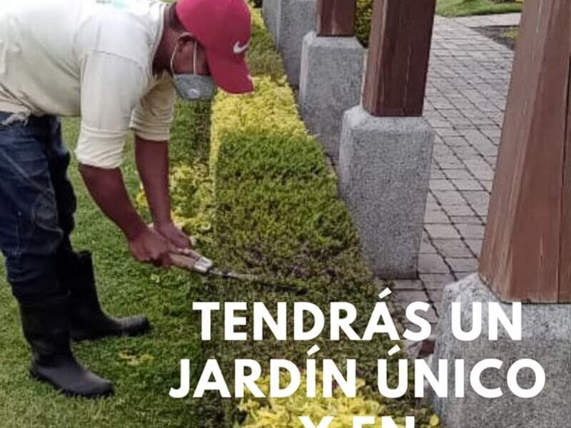 Servicio de Jardineria