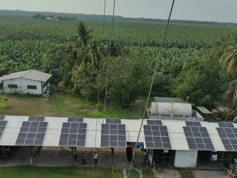 GRANJAS SOLARES GUATEMALA ECOLUMEN