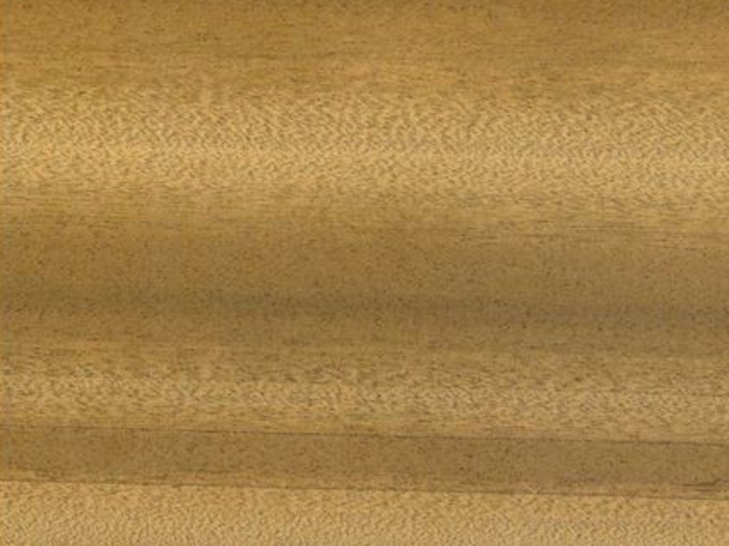 Madera de embero Cobán 