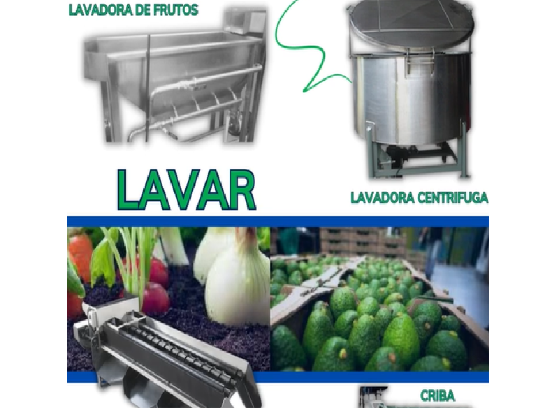 Lavador de frutos Guatemala