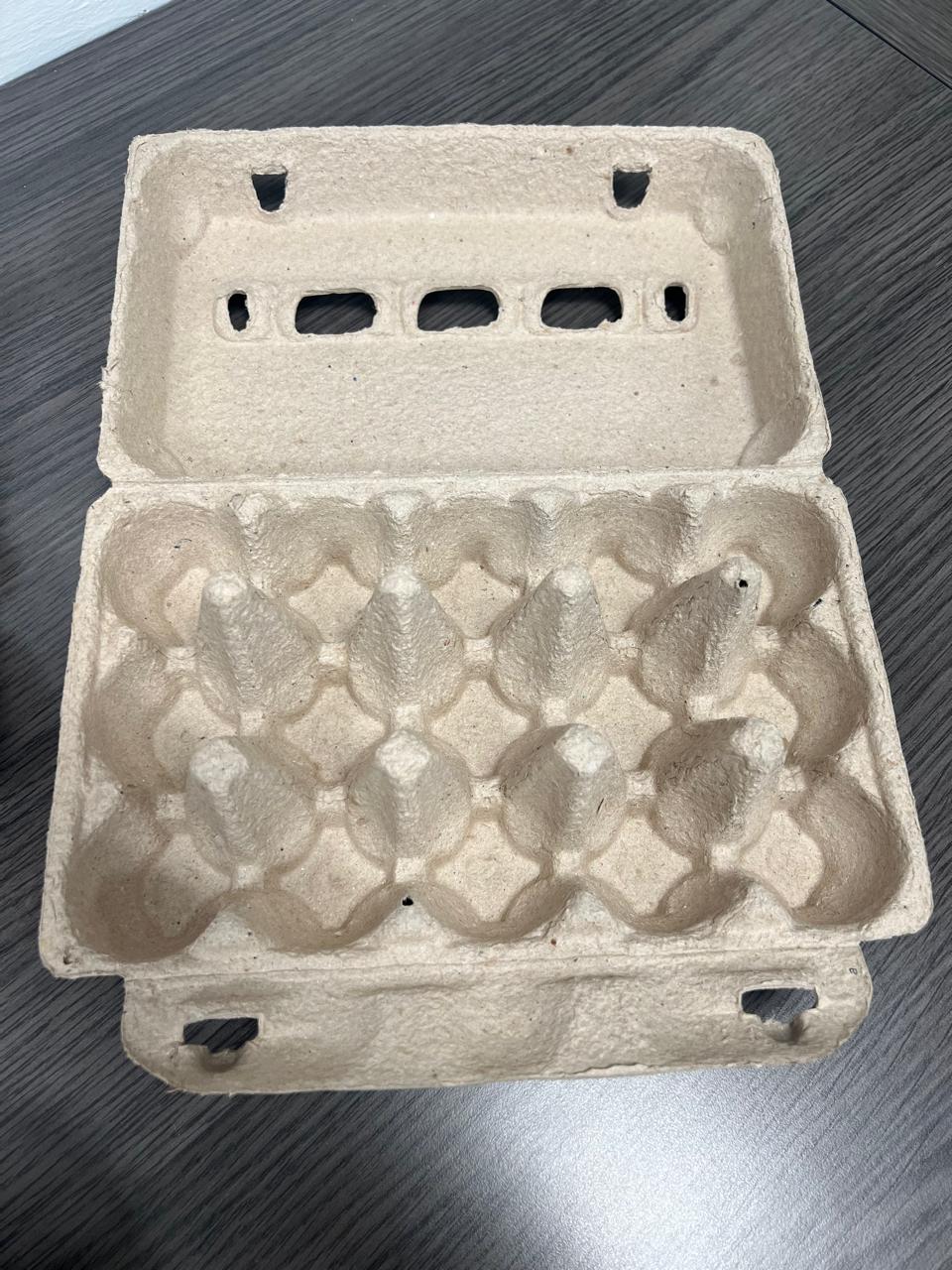 Estuche para huevo