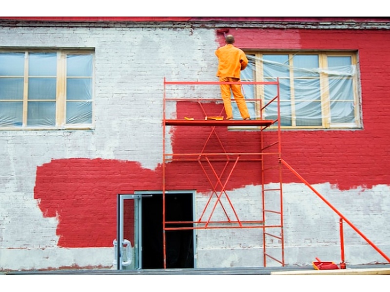 Pintado doméstico