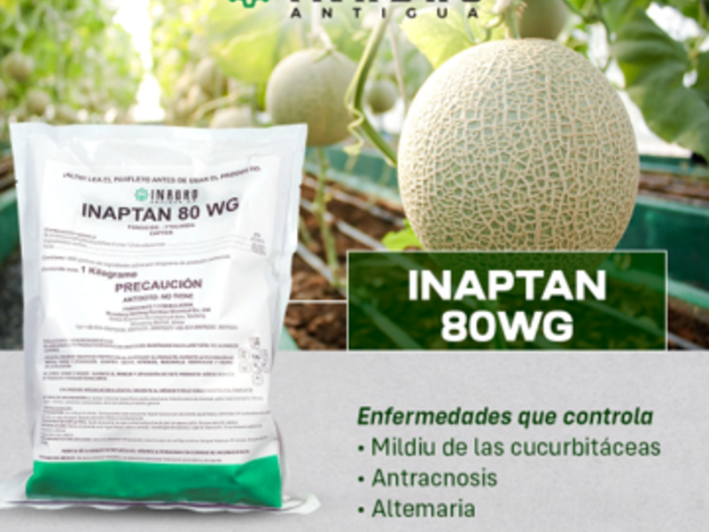 Inaptan Chiquimulilla 