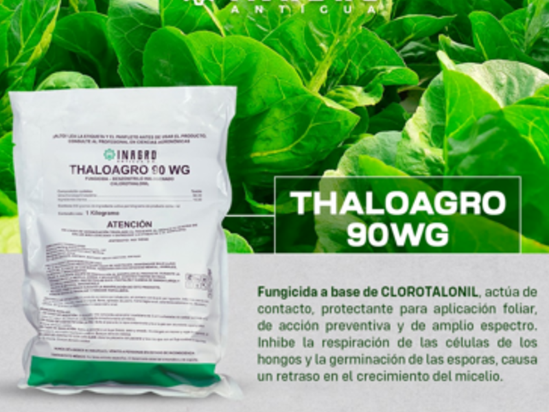 Thaloagro Chiquimulilla