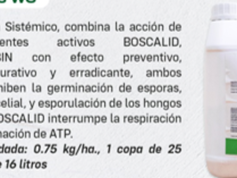 Elagro Chiquimulilla 