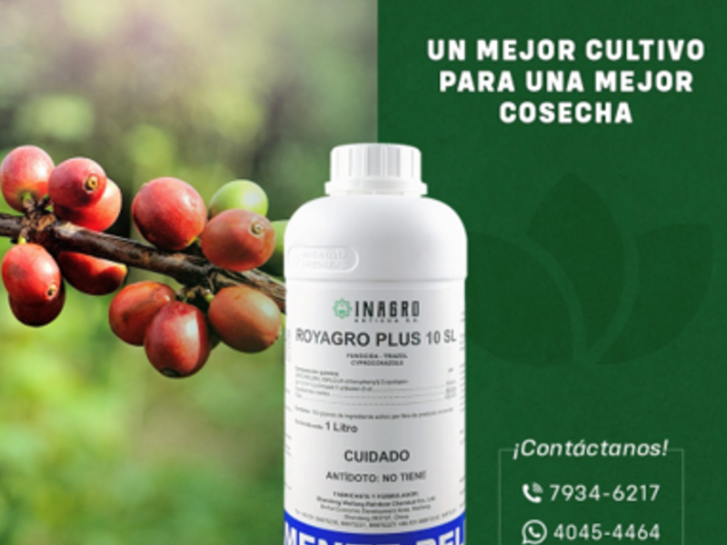 Royagro plus Chiquimulilla 
