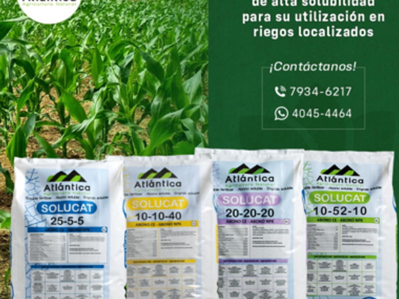 Solucat Chiquimulilla
