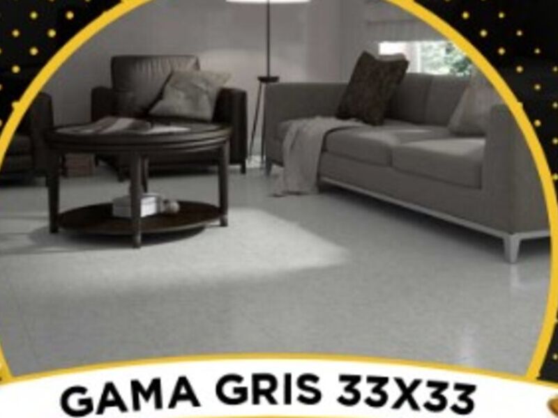 Cerámica Gama Gris en San Benito Petén
