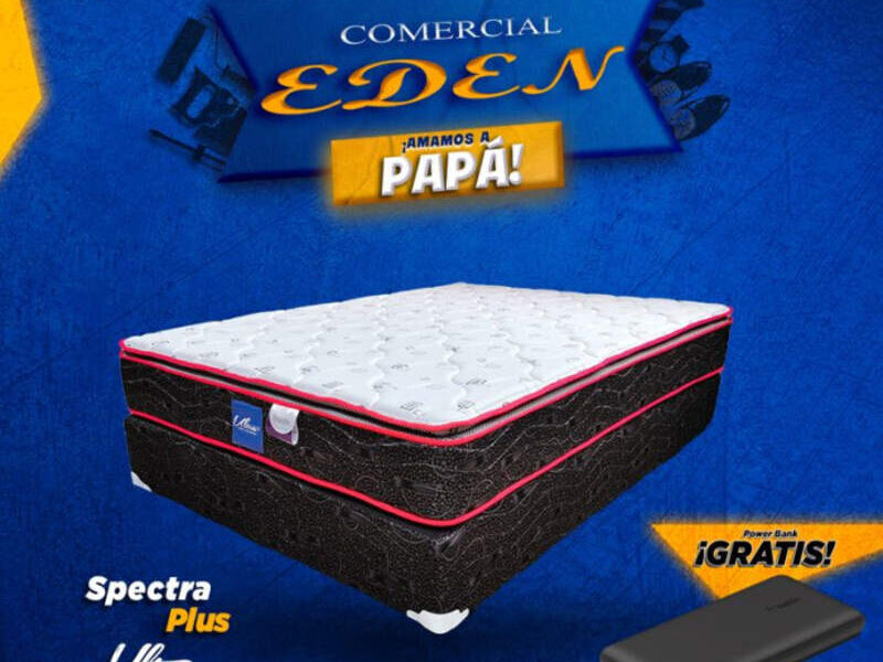 Cama Spectra Plus