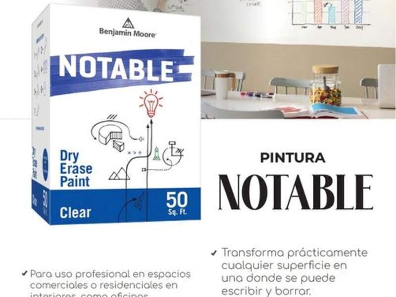 Pintura blanca