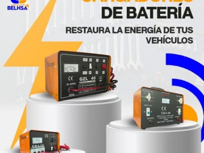 Cargador de Bateria