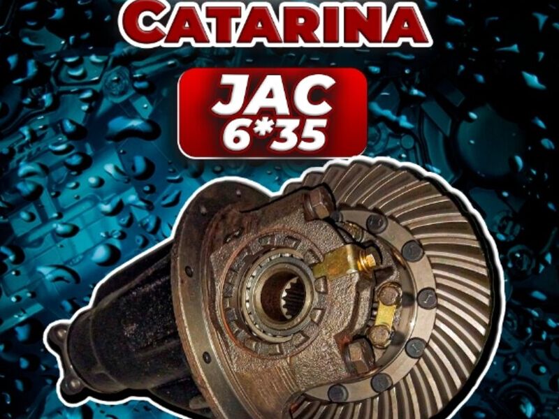 Catarina