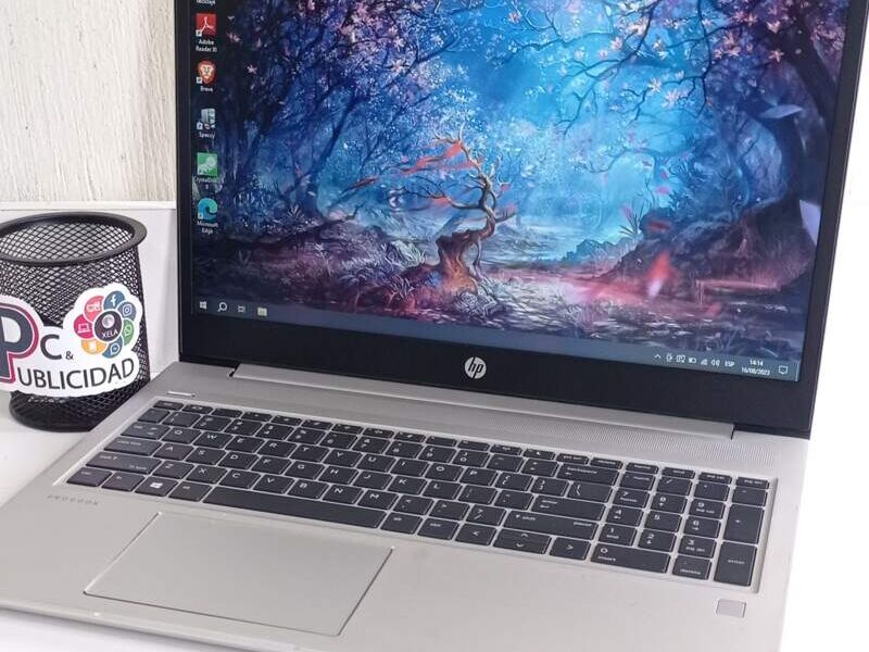 HP Probook 455 G7