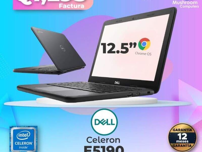 Laptop Dell CHROMEBOOK 5190 