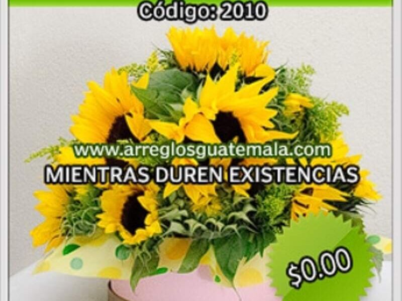 Girasoles Box