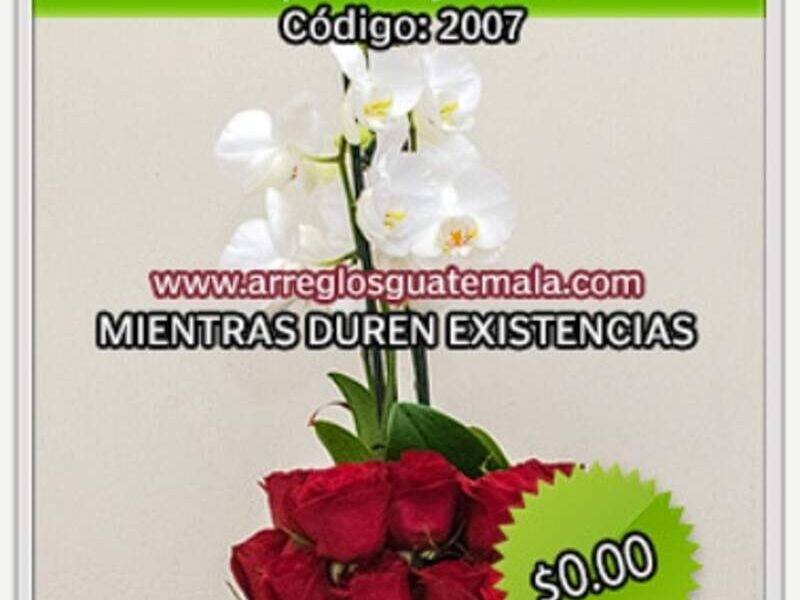 Orquideas y Rosas