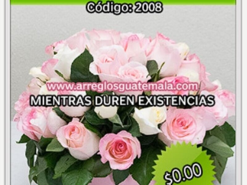 Rosas Box