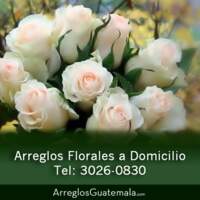 Arreglos Guatemala