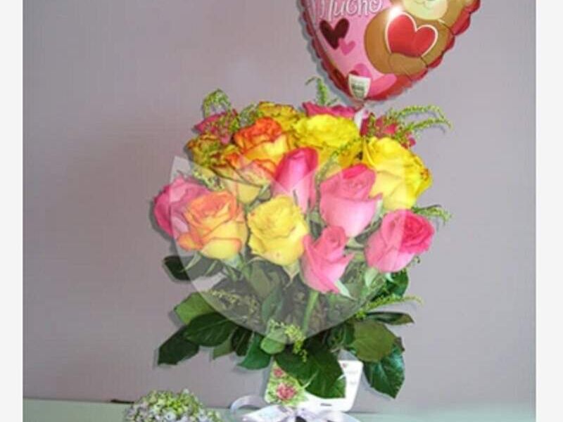 Rosas Primavera