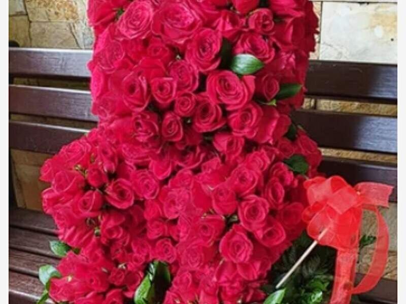 Oso de Rosas