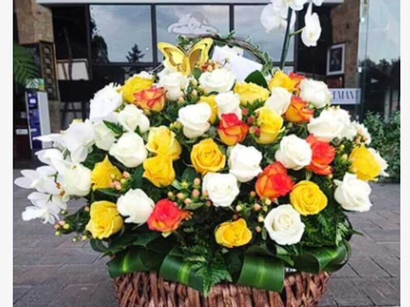 Cesta de Amor con Orquideas