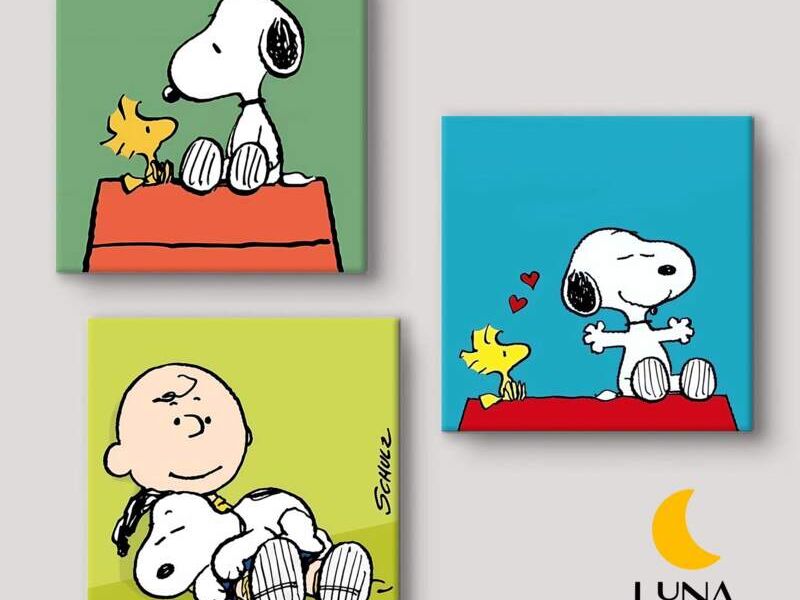 Cuadro decorativo Snoopy