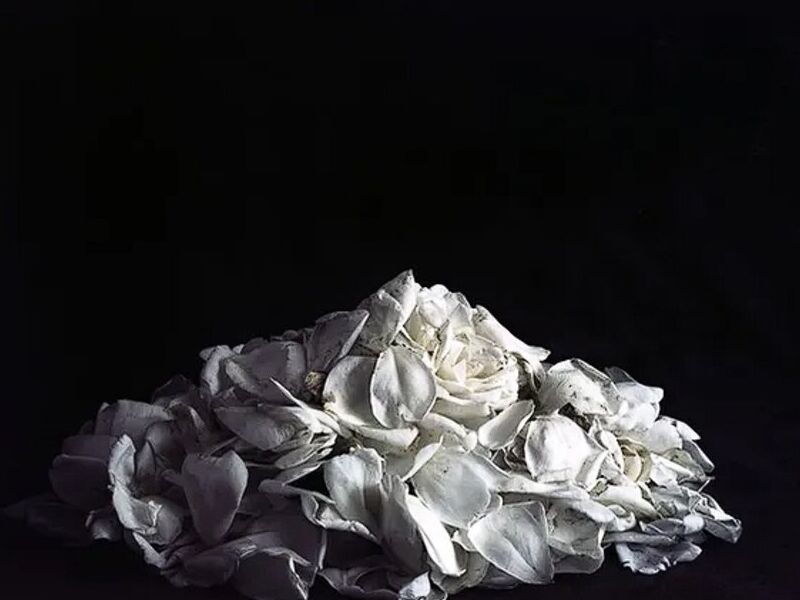 Tomos de Memoria Nº2