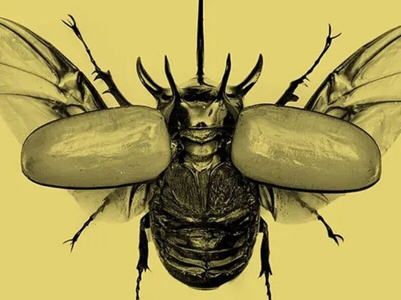 Natura