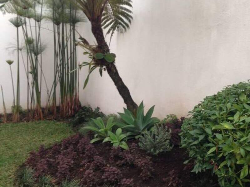 Venta Jardines Abundancia