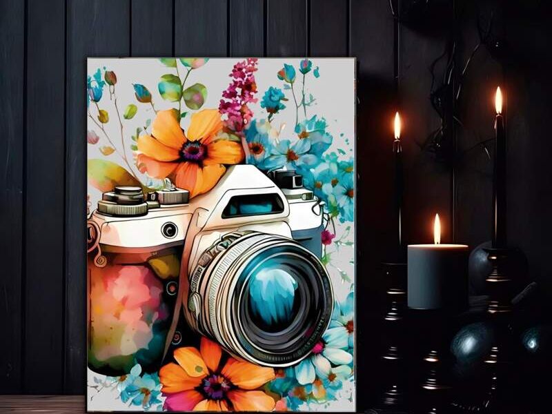 Cuadro decorativo camara