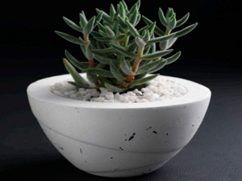MACETA DE CEMENTO TIPO BOWL PEQUEÑAS