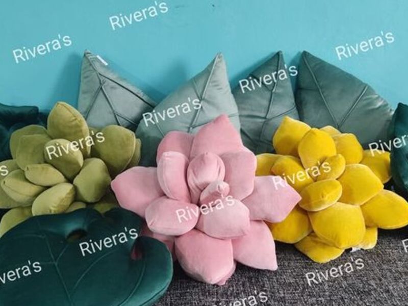 Cojines suculentas